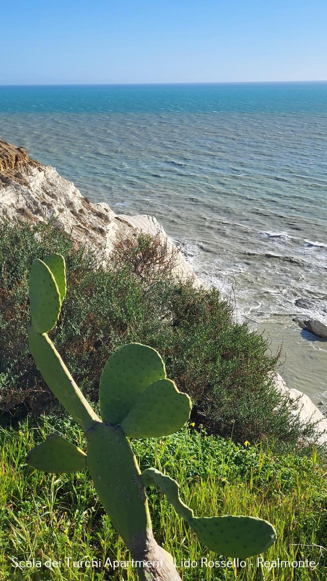 Scala Dei Turchi * Realmonte